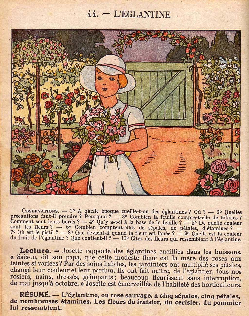 Mon premier livre de leçons de choses