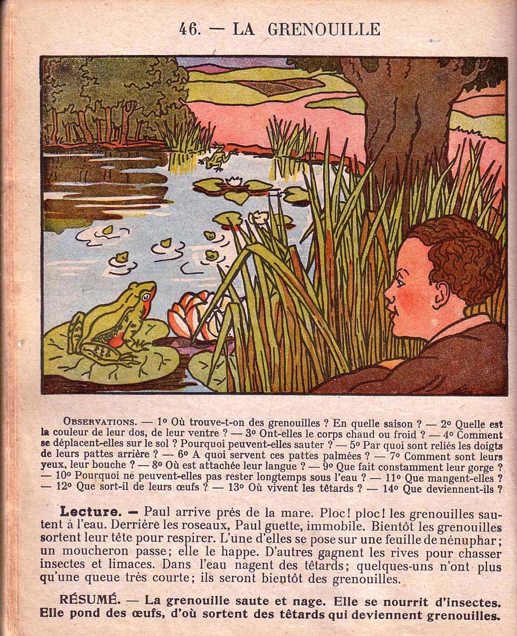 Mon premier livre de leçons de choses