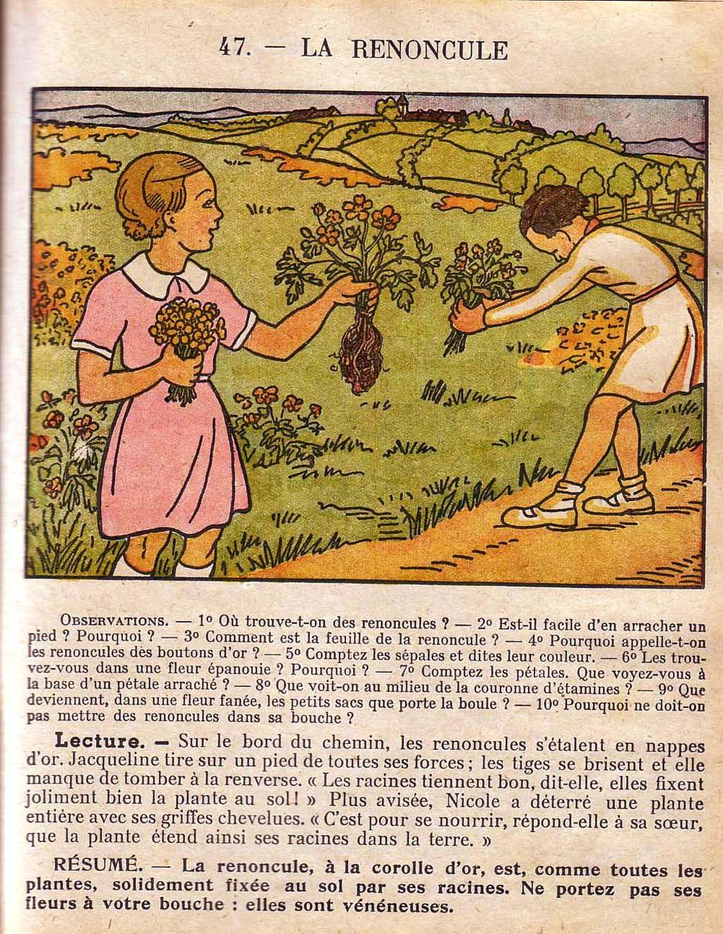 Mon premier livre de leçons de choses