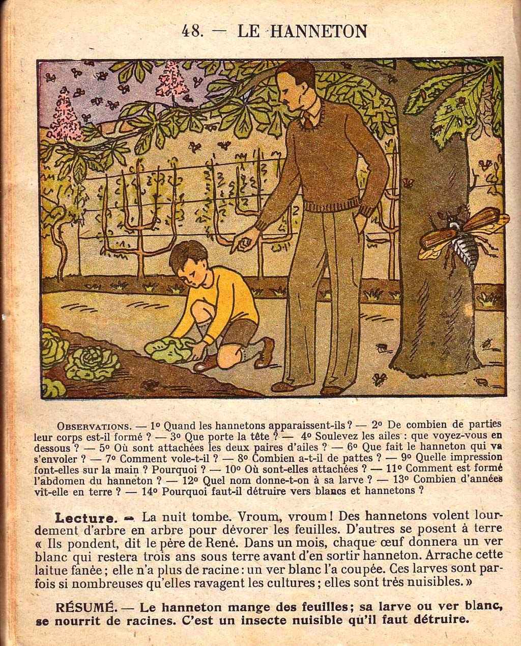 Mon premier livre de leçons de choses