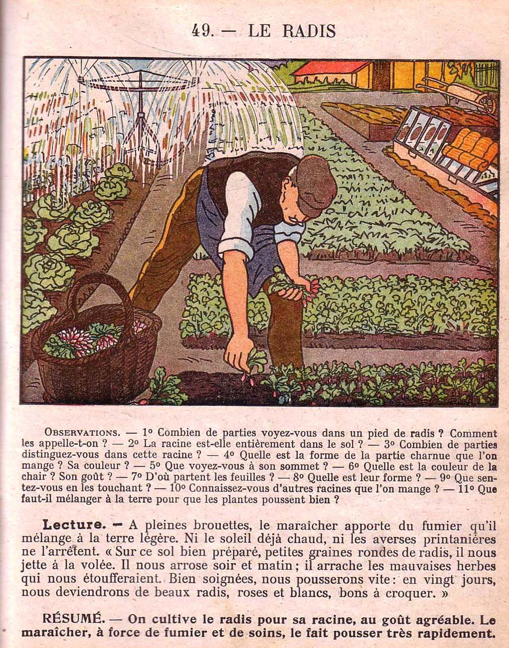 Mon premier livre de leçons de choses