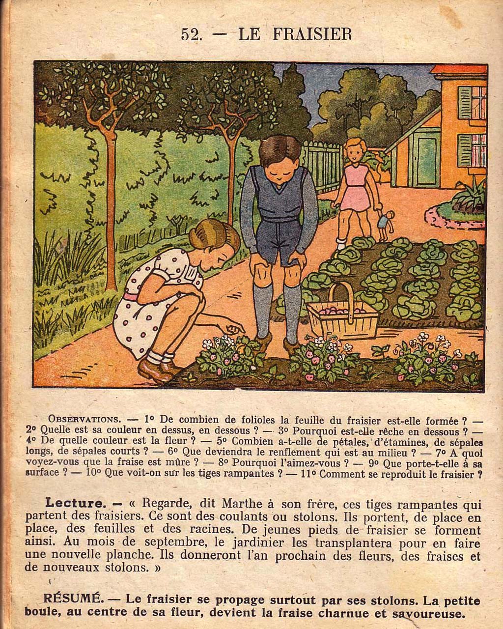 Mon premier livre de leçons de choses