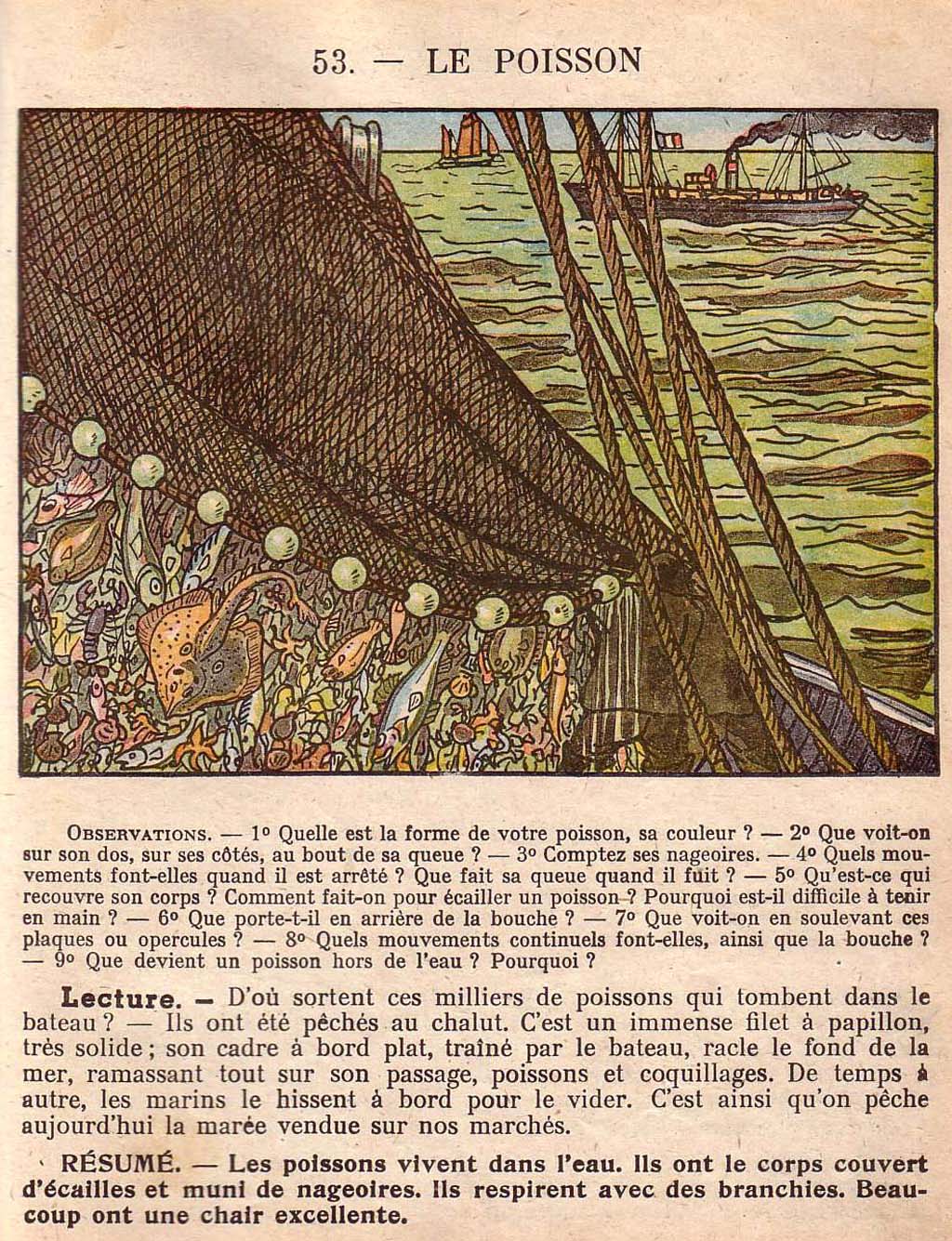 Mon premier livre de leçons de choses