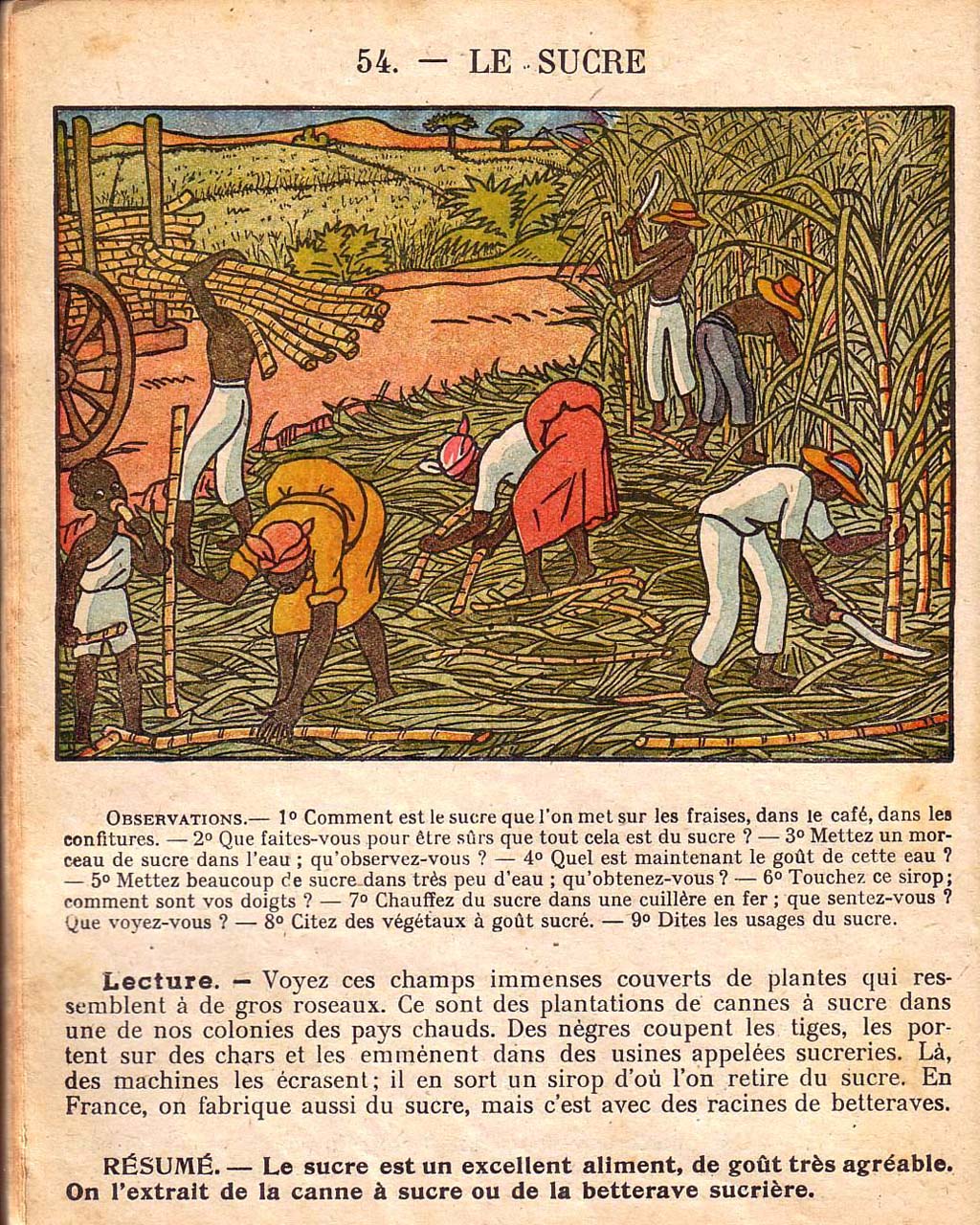Mon premier livre de leçons de choses