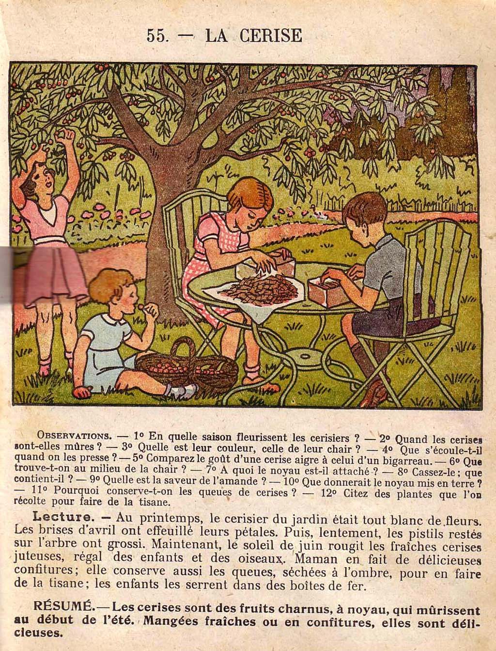 Mon premier livre de leçons de choses