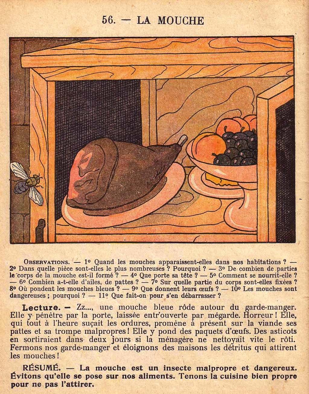 Mon premier livre de leçons de choses