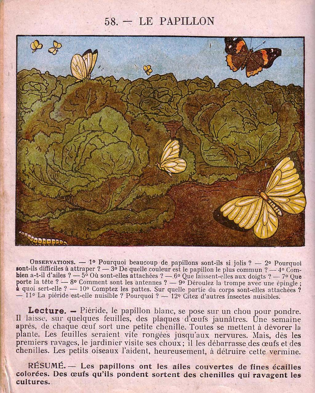 Mon premier livre de leçons de choses
