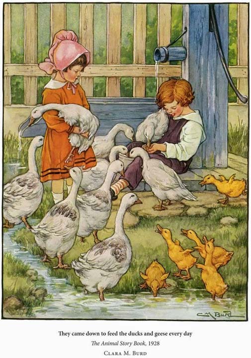 Ducks and geese from The Animal Story Book