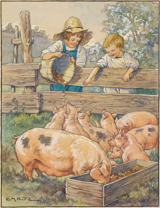 How many pigs do you count ?