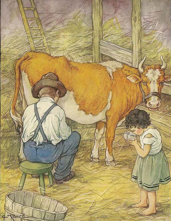 Milking the cow from The Animal Story Book