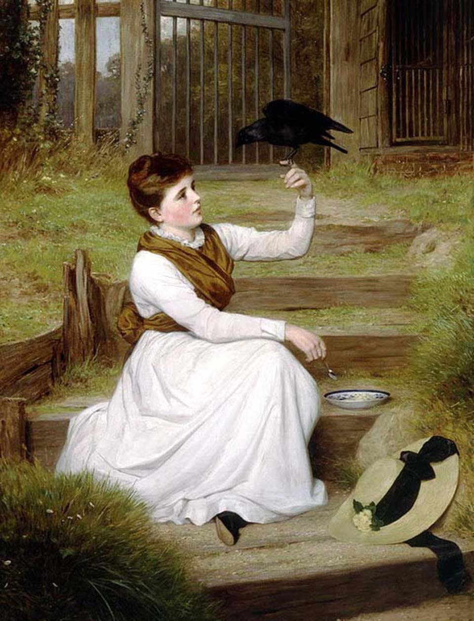 The tame jackdaw