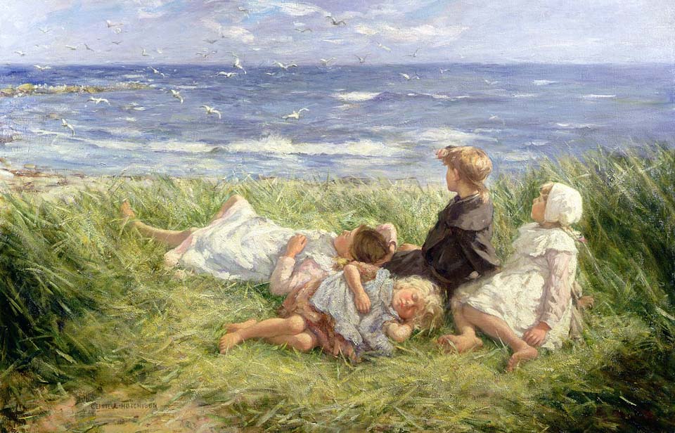 Sea gulls and sapphire seas