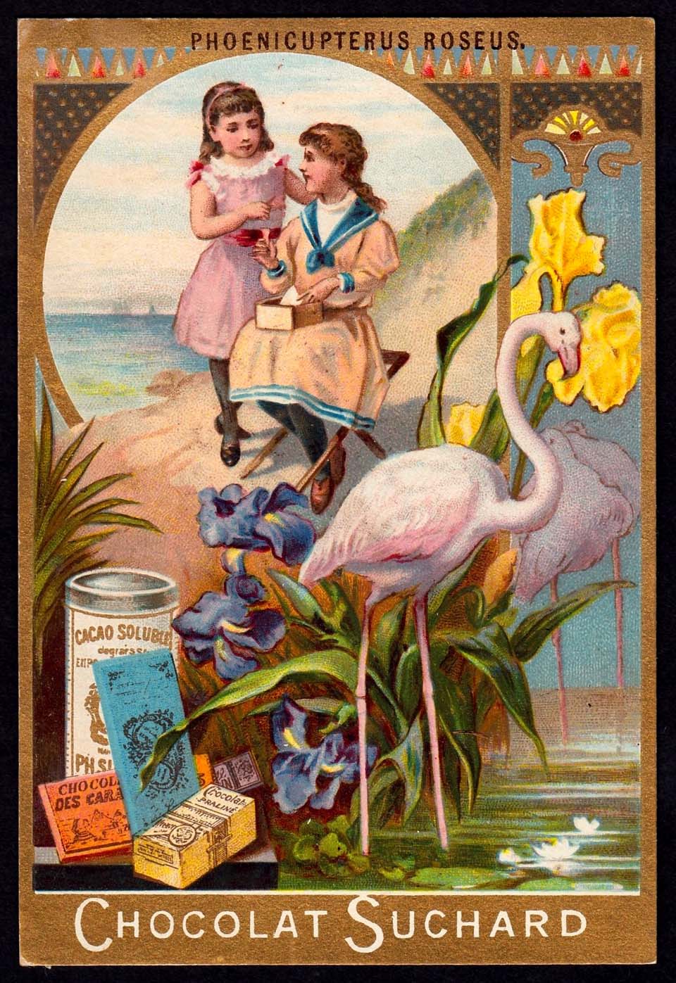 image Suchard