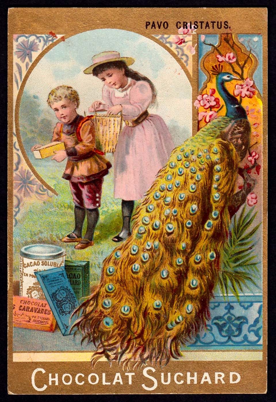 image Suchard
