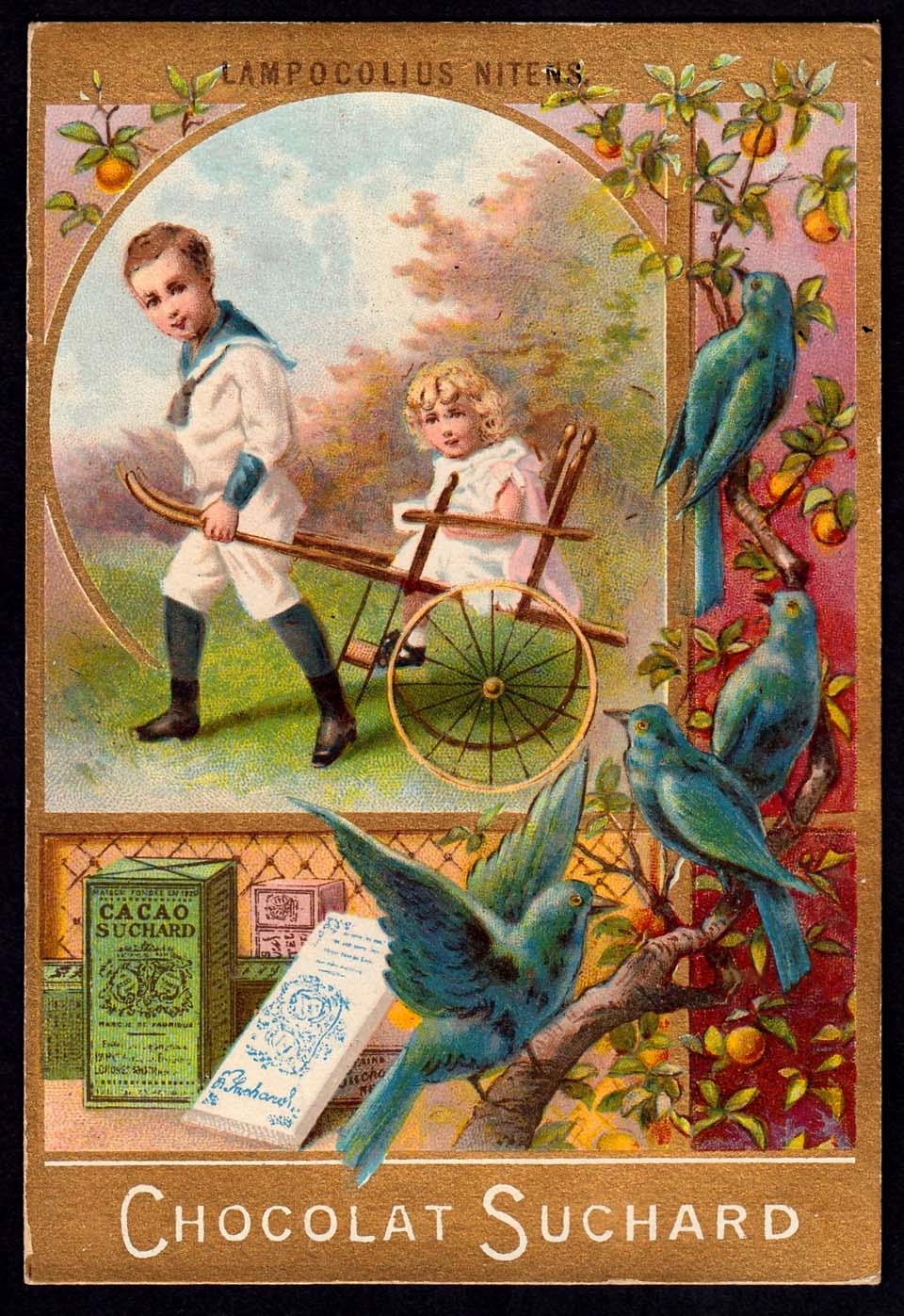 image Suchard
