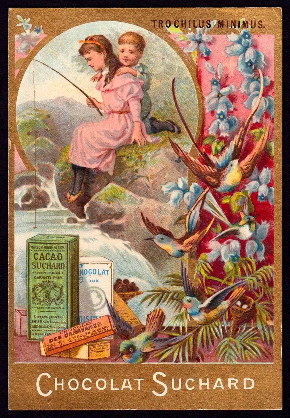 image Suchard