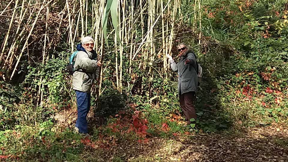 Fernande et Pascale dans les roseaux