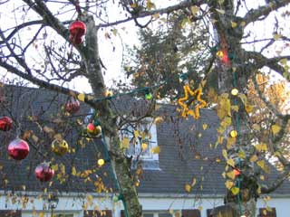 ( Boules de Noël )