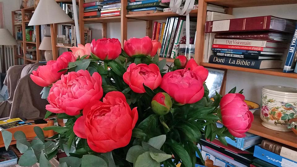 bouquet de pivoines