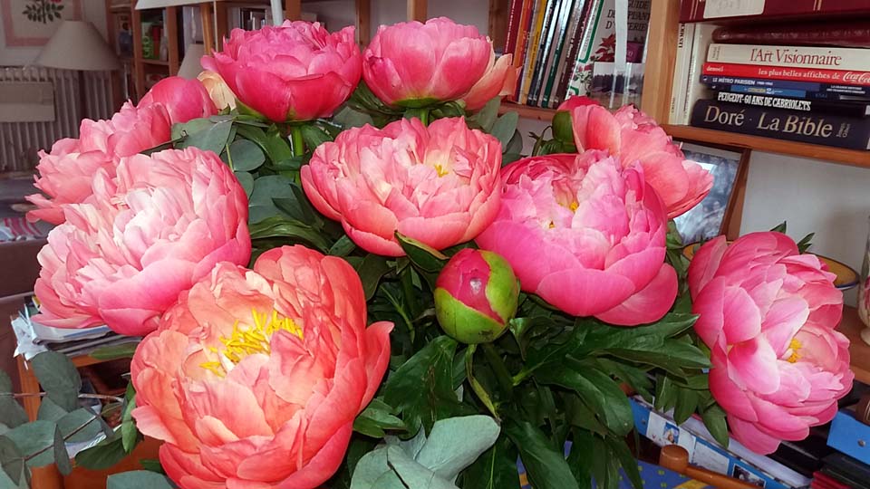 bouquet de pivoines