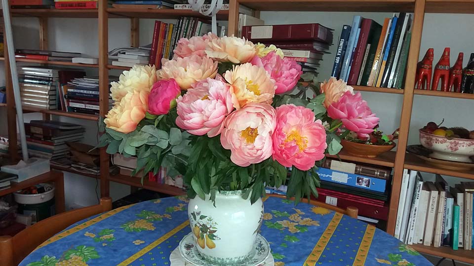 bouquet de pivoines