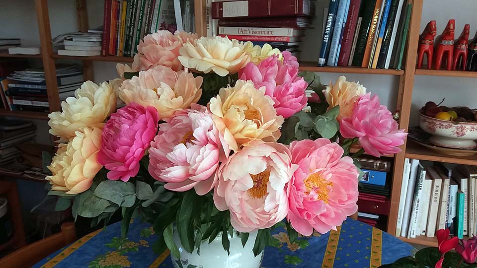 bouquet de pivoines