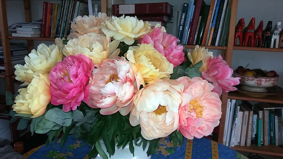 bouquet de pivoines