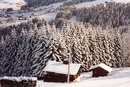 ( Le chalet et le mazot devant la fort enneige )