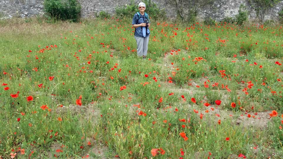 Fernande aux coquelicots