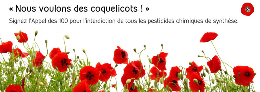 Nous voulons des coquelicots !