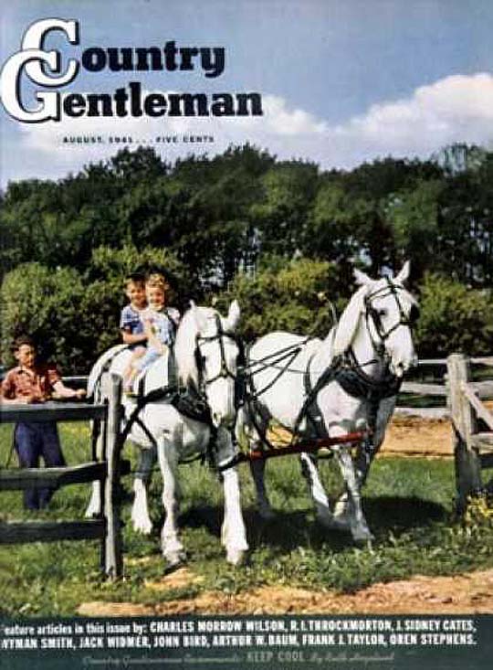 1941-08 Enfants chevauchant des chevaux de travail