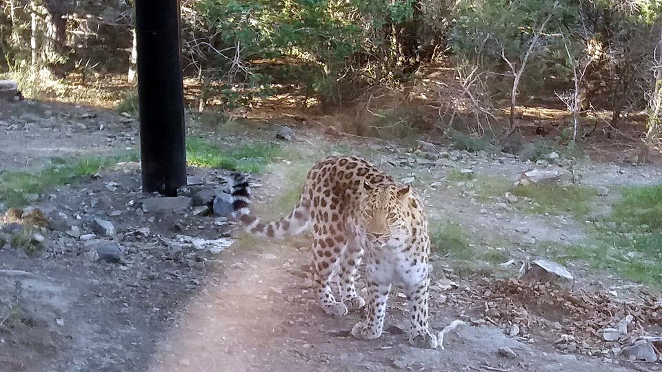 parc animalier Ecozonia