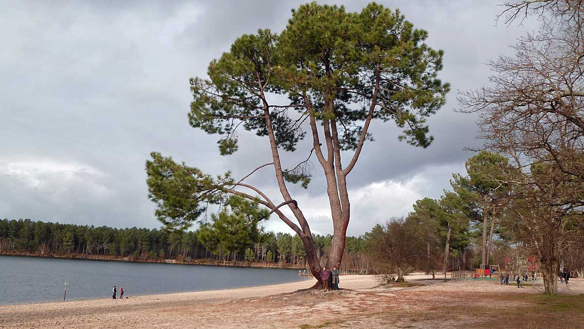 Fernande et Pascale au pied de mon arbre (Hostens)