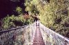 ( Passerelle pour l'îlet des Fleurs Jaunes)