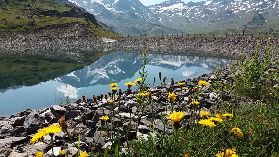 Le lac des Echauds