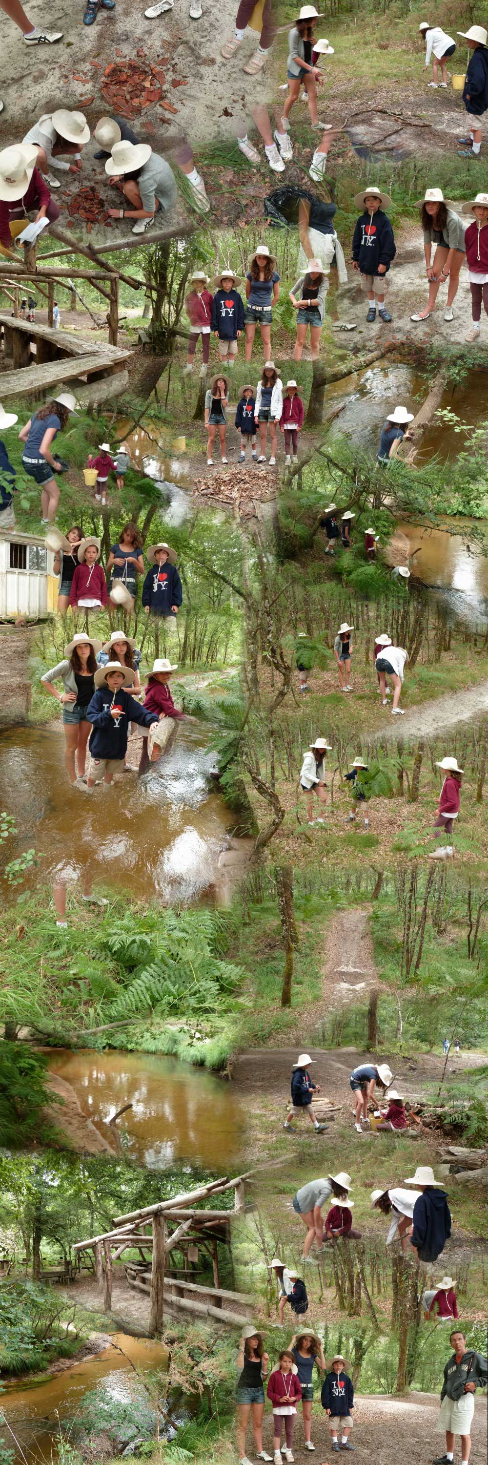 collage les explorateurs de la jungle  Pissos