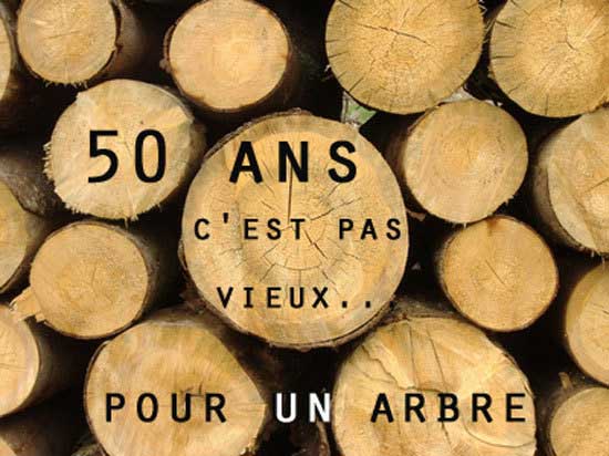 50 ans c'est pas vieux... pour un arbre !