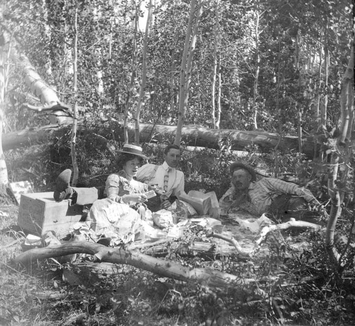 Pique-nique dans les bois 1900