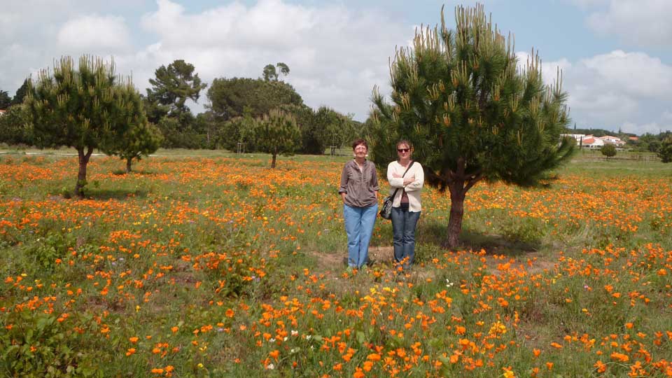 Pascale et Fernande au milieu des pavots de Californie