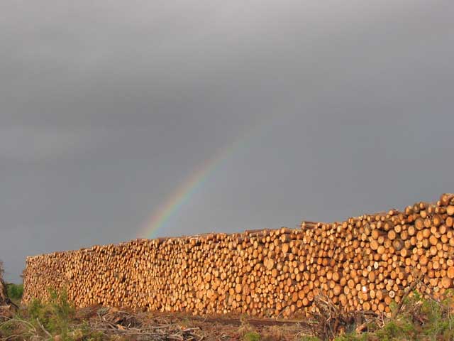 arc-en-ciel  Commensacq (Bacqueserre)