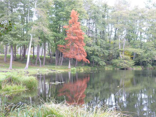 Pontenx-les-Forges - la retenue d'eau