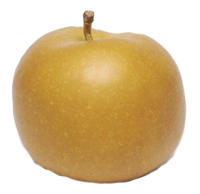 la Pomme Reinette Grise du Canada