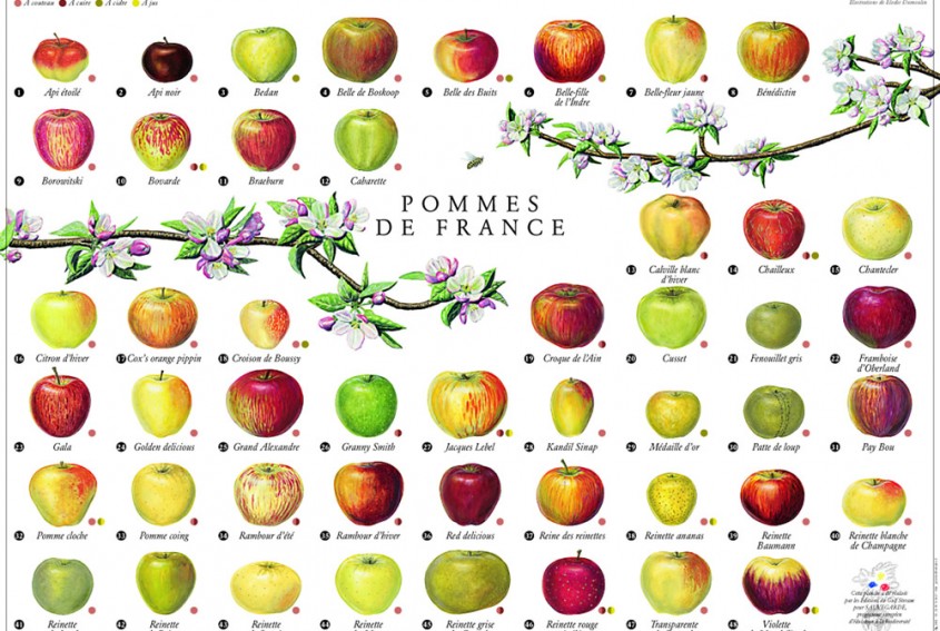 Pommes de France