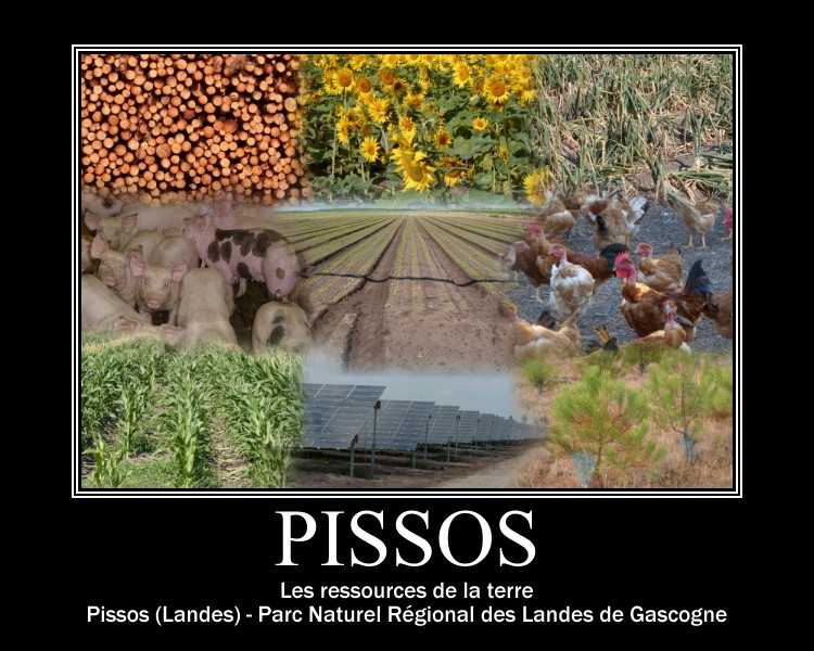 Pissos le poster des ressources de la terre