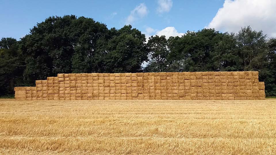 Meule de paille à Ozoir-la-Ferrière