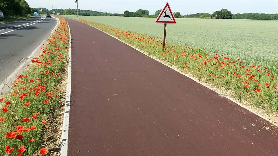 Coquelicots à la sortie de Lésigny vers Servon