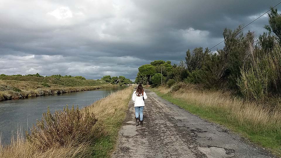 Réserve naturelle de Sainte-Lucie