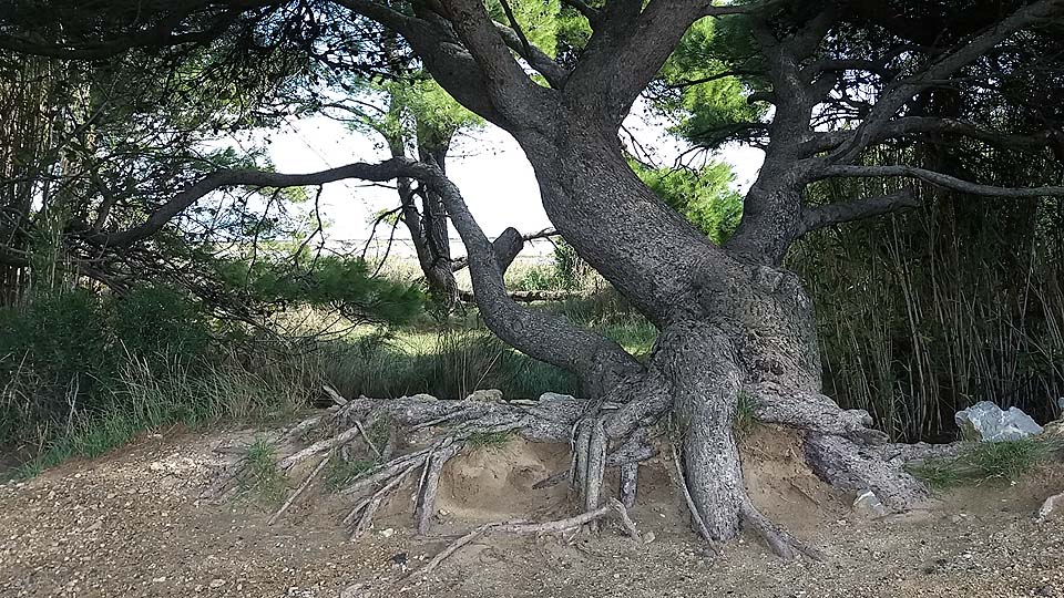 Réserve naturelle de Sainte-Lucie