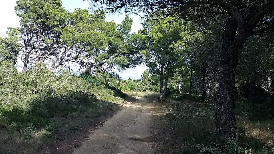 Réserve naturelle de Sainte-Lucie