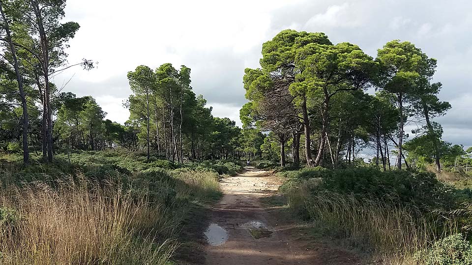 Réserve naturelle de Sainte-Lucie